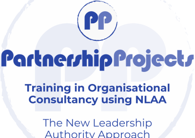 Training in Organisational Consultancy using NLAA