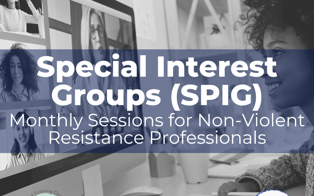 NVR Special Interest Groups (SPIG)