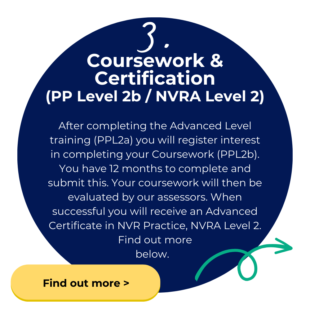 NVR Training Coursework Certification Level 3